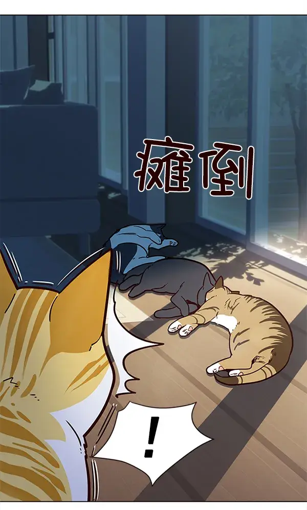 漫画《觉醒吧，铲屎官！》第11话第33张图