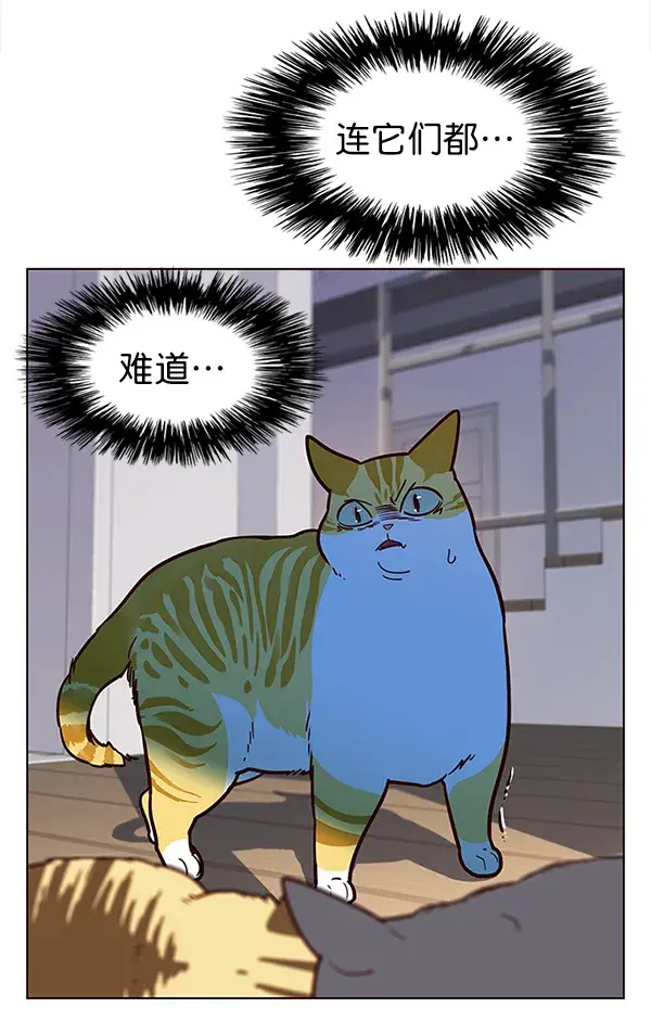 漫画《觉醒吧，铲屎官！》第11话第34张图