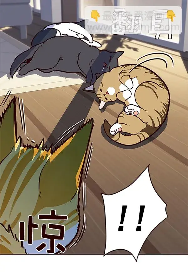 漫画《觉醒吧，铲屎官！》第11话第37张图