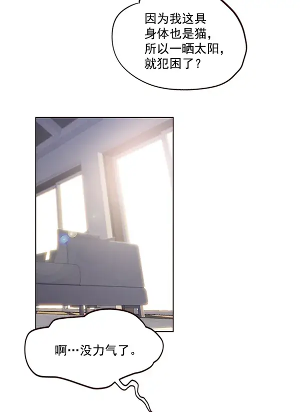 漫画《觉醒吧，铲屎官！》第11话第40张图