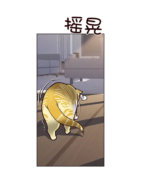 漫画《觉醒吧，铲屎官！》第11话第43张图