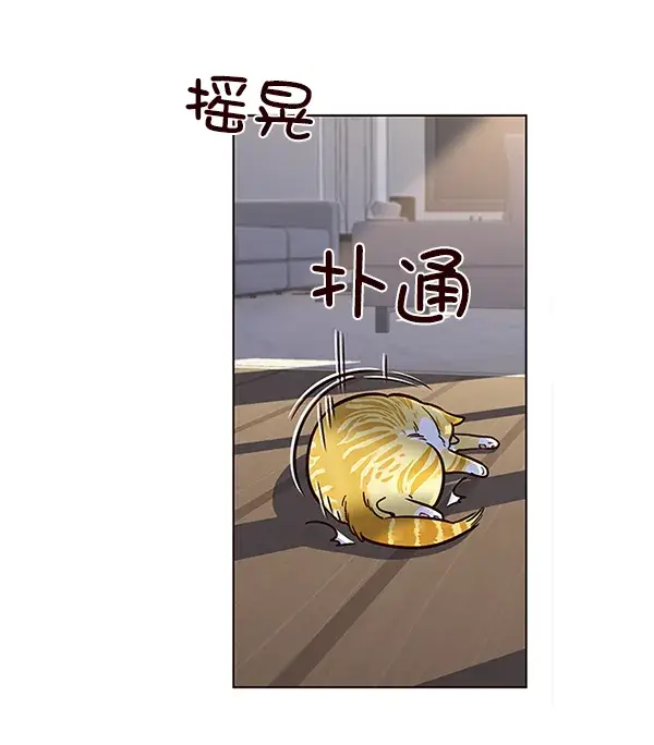 漫画《觉醒吧，铲屎官！》第11话第44张图