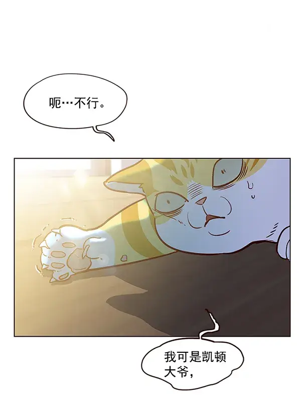 漫画《觉醒吧，铲屎官！》第11话第45张图