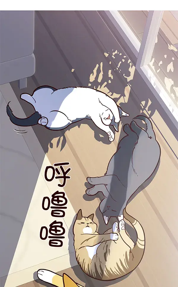 漫画《觉醒吧，铲屎官！》第11话第48张图