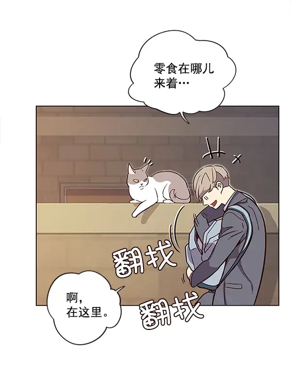 漫画《觉醒吧，铲屎官！》第11话第52张图