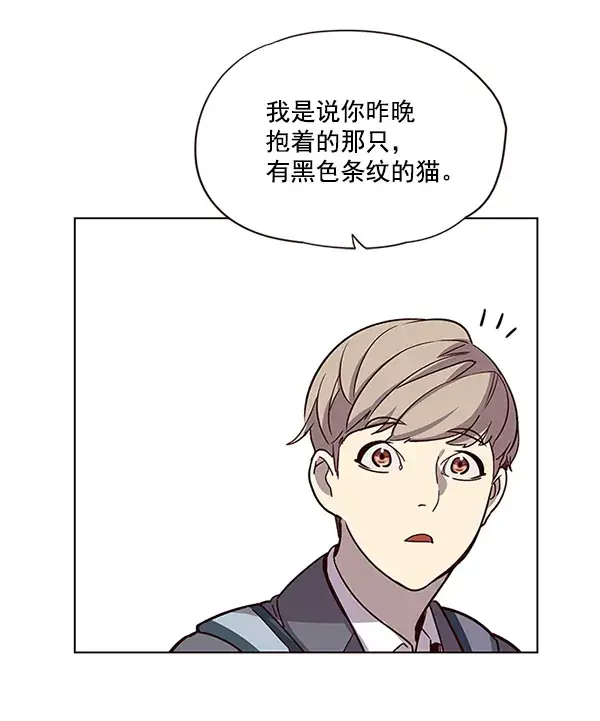 漫画《觉醒吧，铲屎官！》第11话第62张图