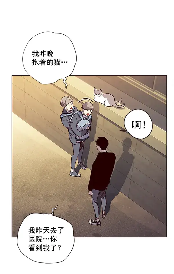 漫画《觉醒吧，铲屎官！》第11话第63张图