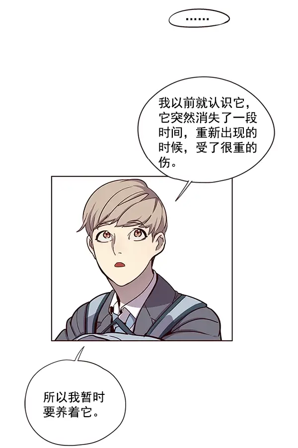 漫画《觉醒吧，铲屎官！》第11话第64张图