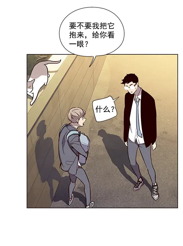 漫画《觉醒吧，铲屎官！》第11话第70张图