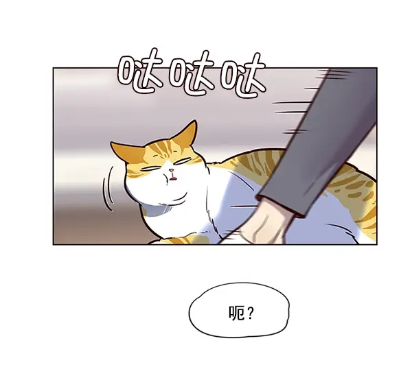 漫画《觉醒吧，铲屎官！》第11话第77张图