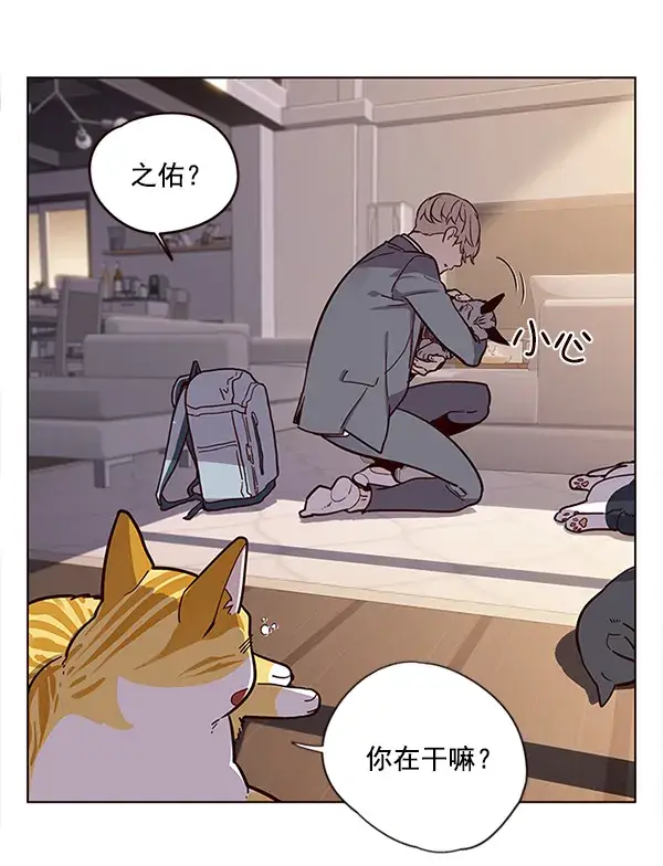 漫画《觉醒吧，铲屎官！》第11话第78张图