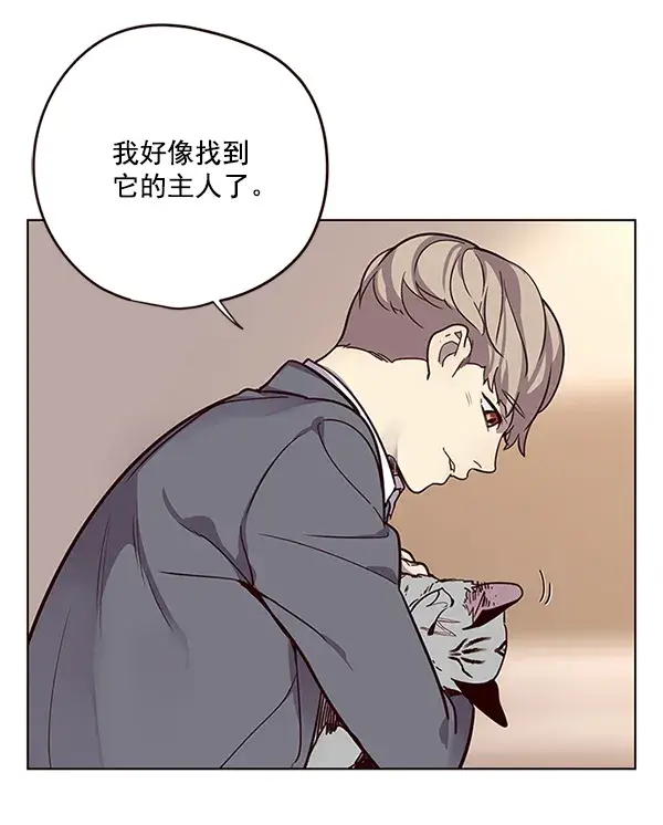漫画《觉醒吧，铲屎官！》第11话第79张图