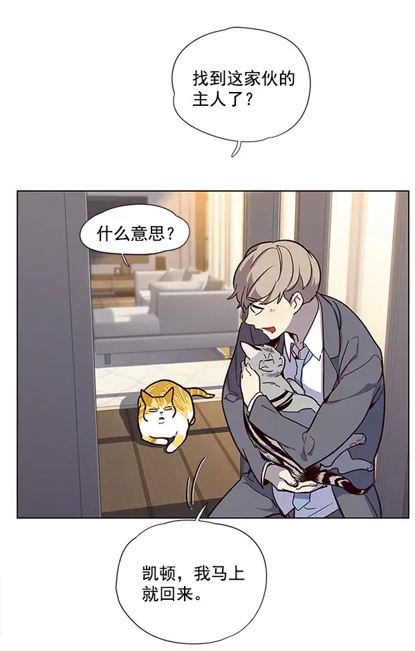 漫画《觉醒吧，铲屎官！》第11话第80张图