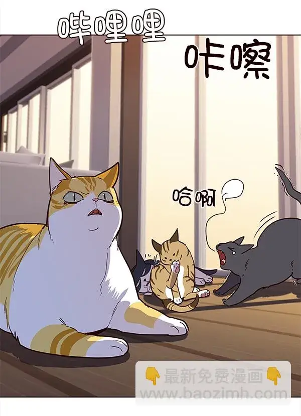 漫画《觉醒吧，铲屎官！》第11话第81张图