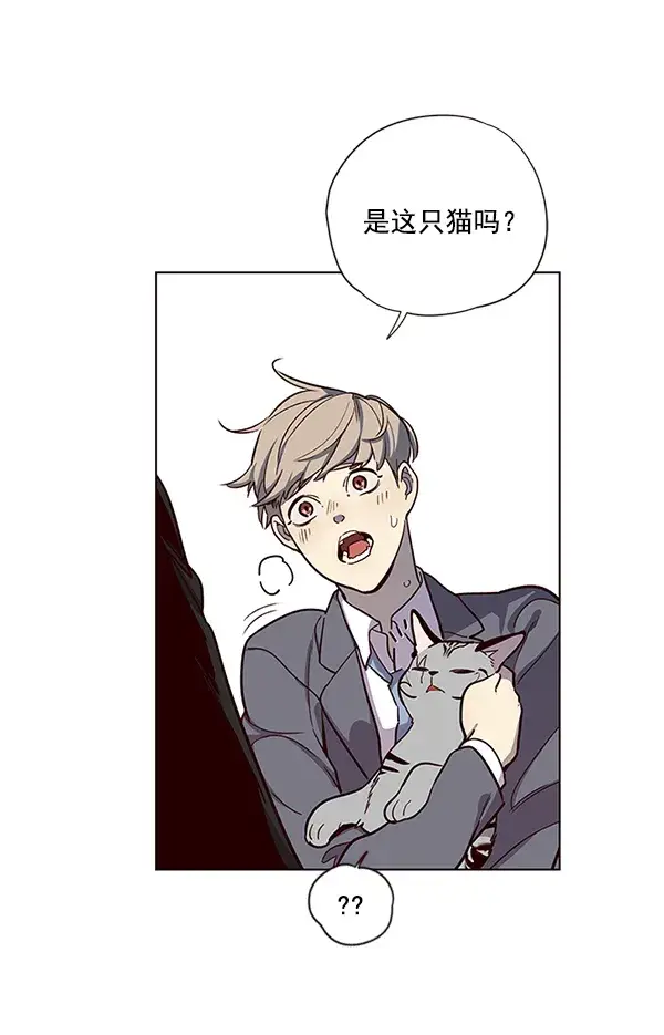漫画《觉醒吧，铲屎官！》第11话第86张图