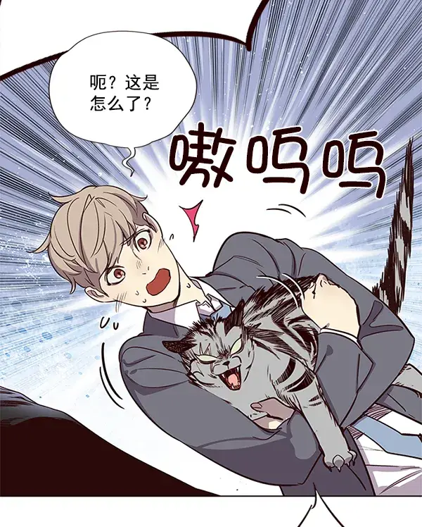 漫画《觉醒吧，铲屎官！》第11话第94张图
