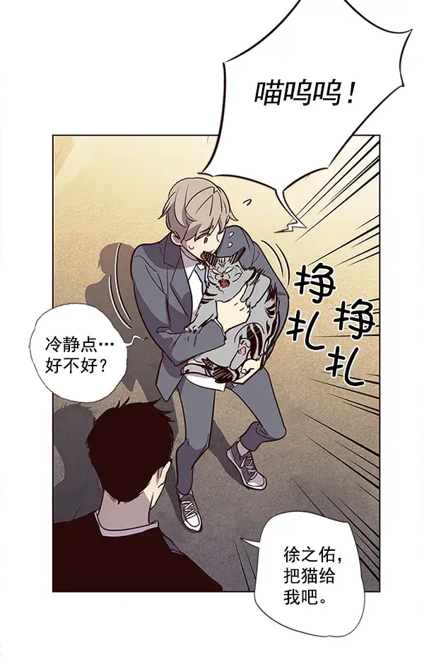 漫画《觉醒吧，铲屎官！》第11话第95张图