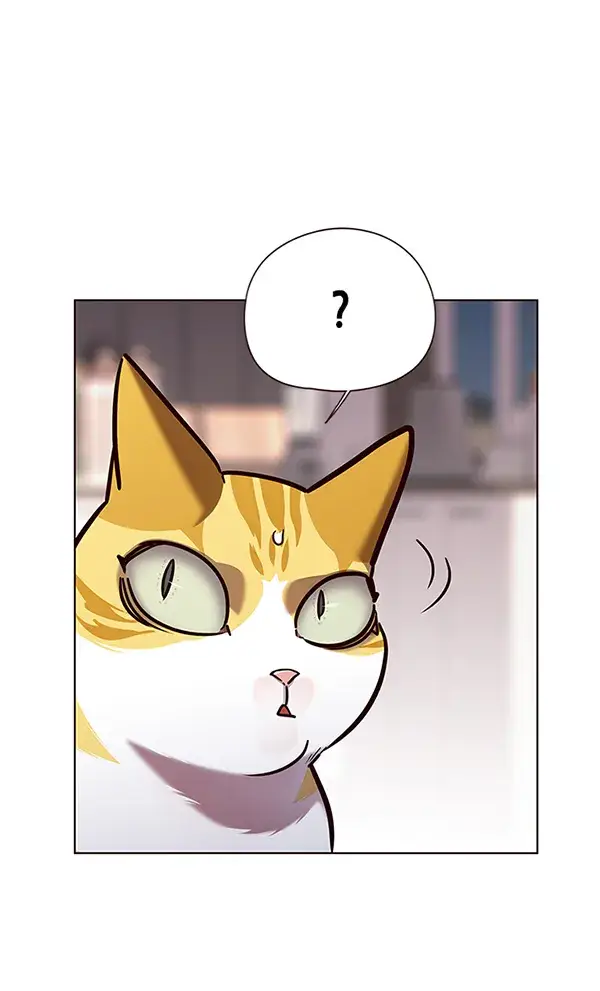 漫画《觉醒吧，铲屎官！》第139话第13张图