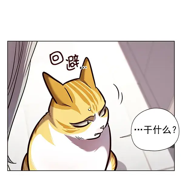 漫画《觉醒吧，铲屎官！》第139话第5张图
