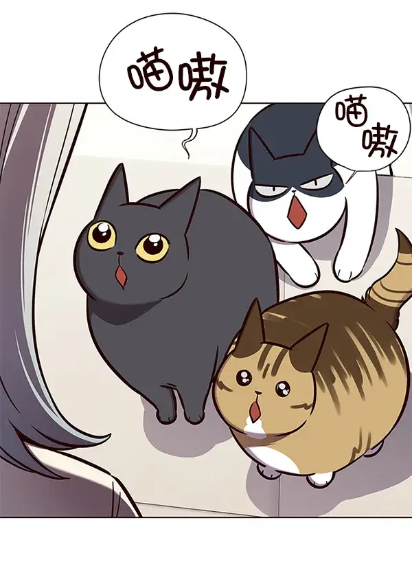 漫画《觉醒吧，铲屎官！》第141话第87张图