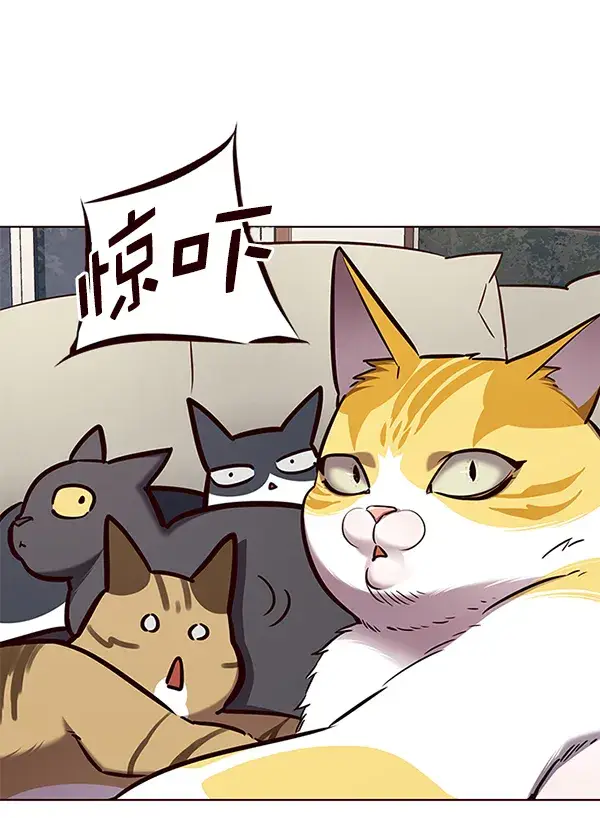 漫画《觉醒吧，铲屎官！》第141话第97张图
