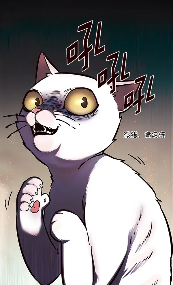 漫画《觉醒吧，铲屎官！》第142话第21张图