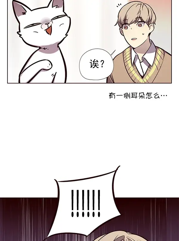 漫画《觉醒吧，铲屎官！》第143话第40张图