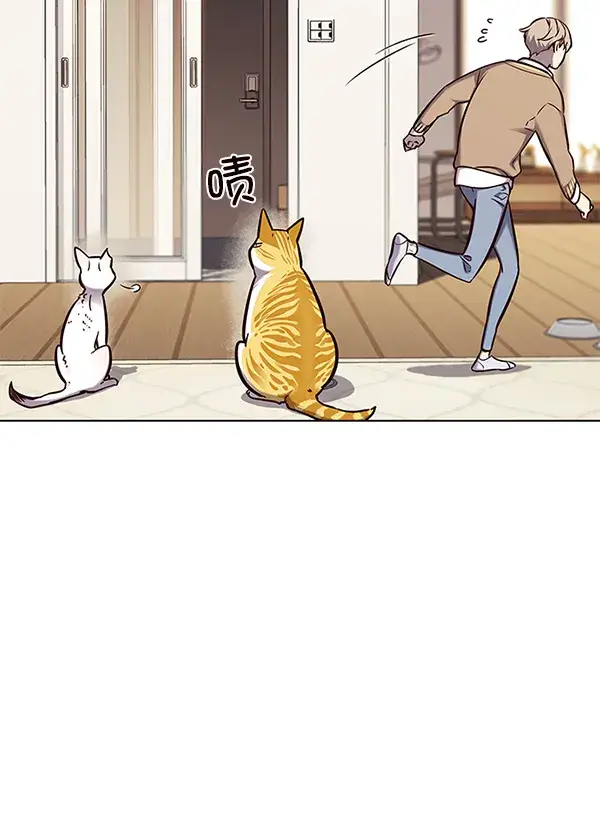 漫画《觉醒吧，铲屎官！》第143话第54张图