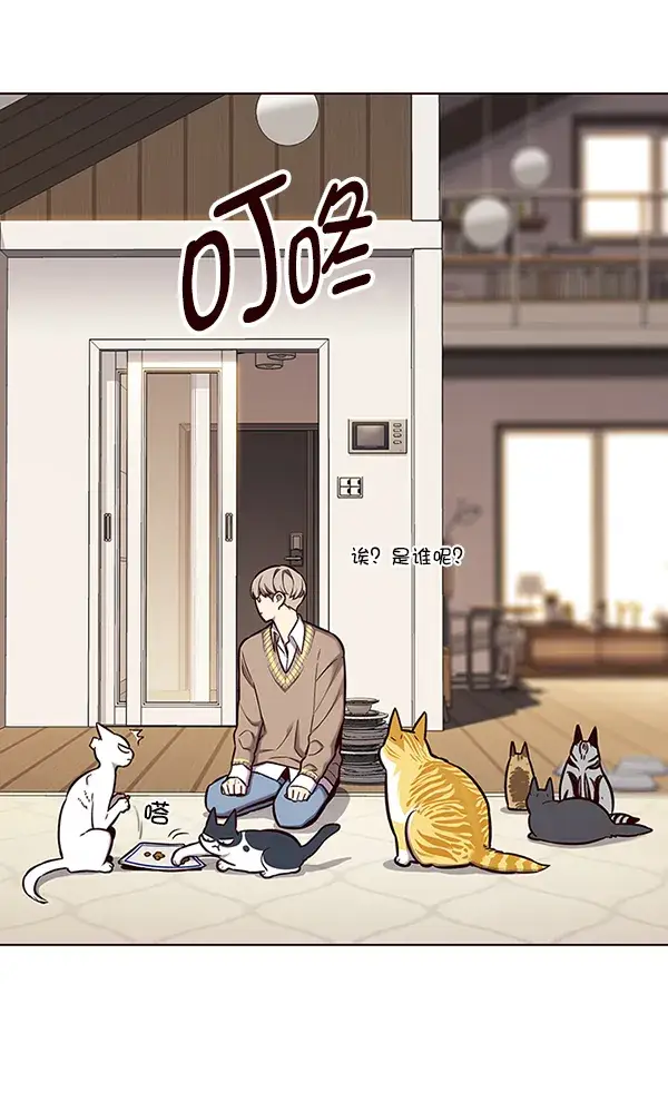 漫画《觉醒吧，铲屎官！》第143话第64张图