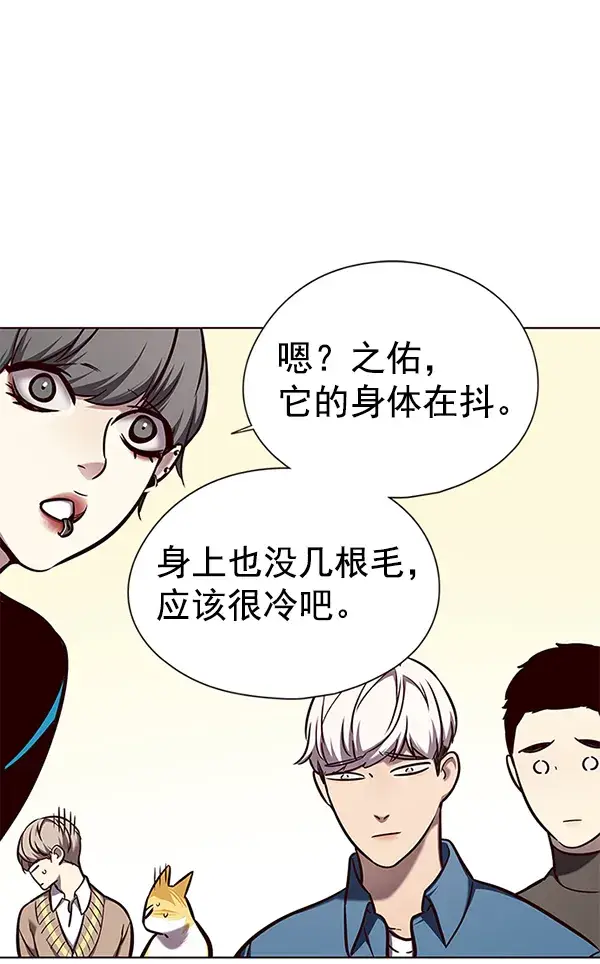 漫画《觉醒吧，铲屎官！》第143话第79张图