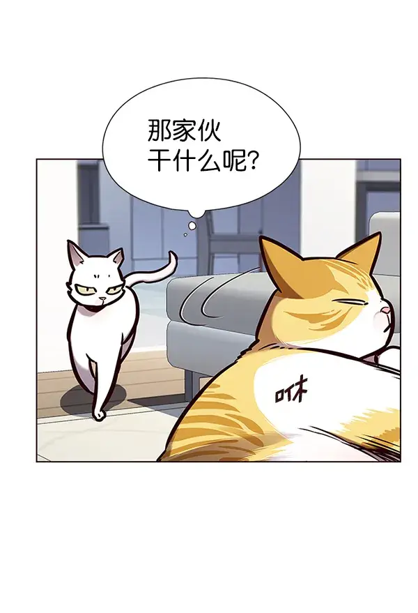 漫画《觉醒吧，铲屎官！》第144话第27张图