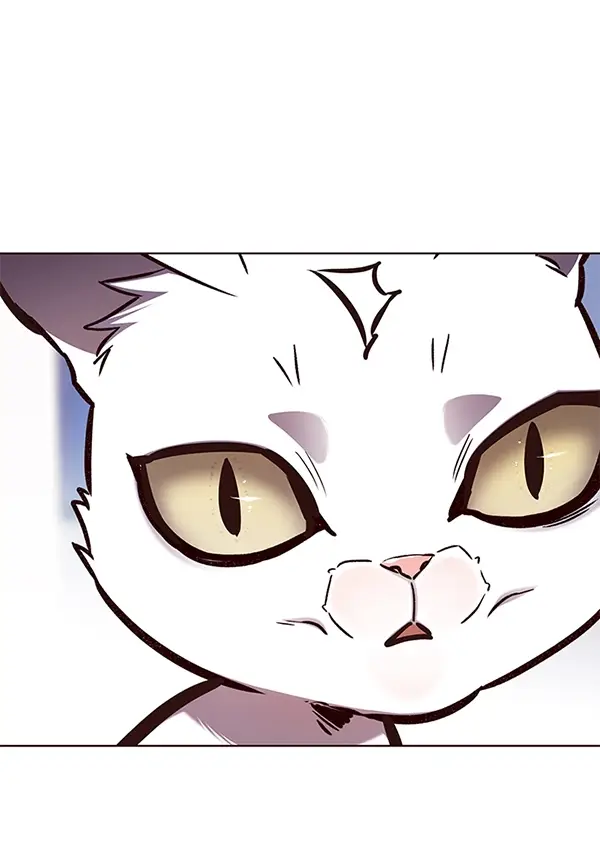 漫画《觉醒吧，铲屎官！》第144话第28张图