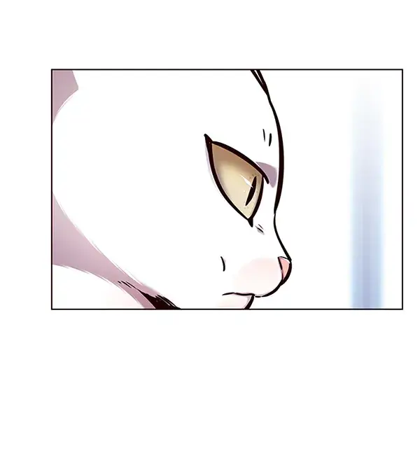 漫画《觉醒吧，铲屎官！》第144话第36张图