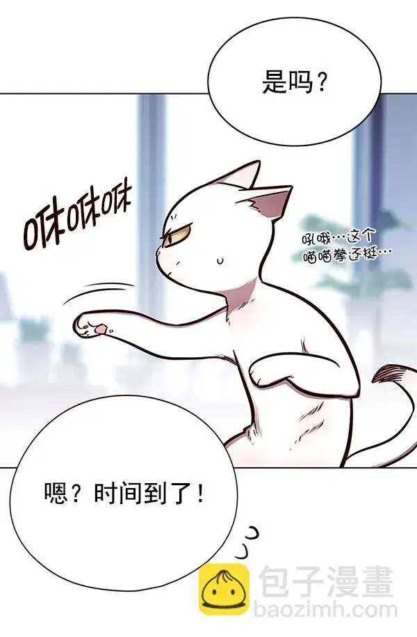 漫画《觉醒吧，铲屎官！》第144话第43张图