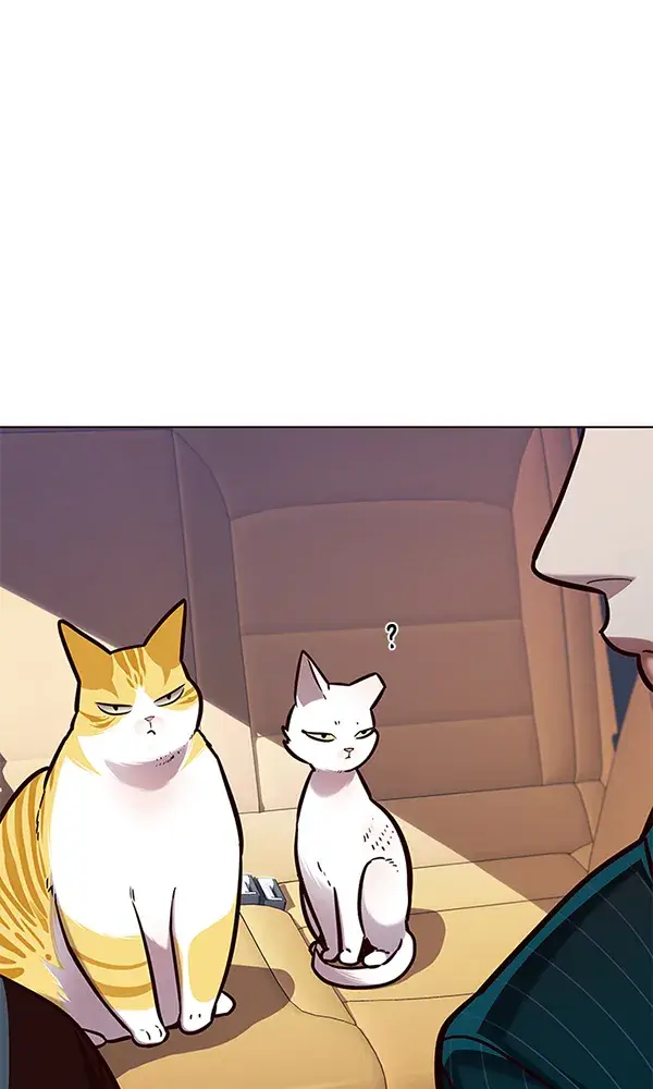 漫画《觉醒吧，铲屎官！》第144话第55张图