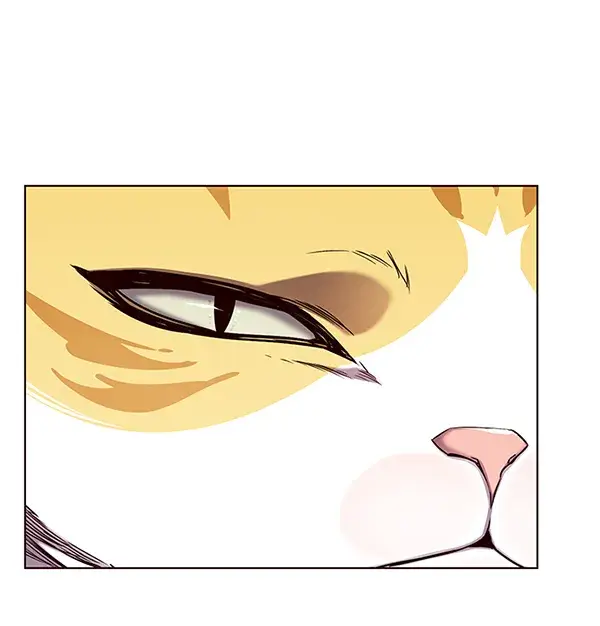 漫画《觉醒吧，铲屎官！》第146话第57张图