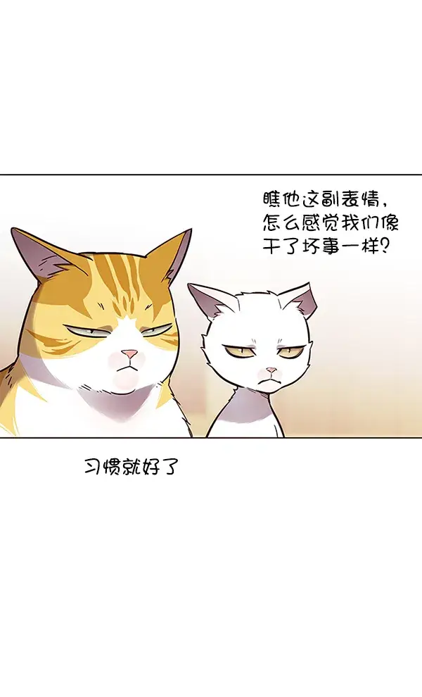 漫画《觉醒吧，铲屎官！》第146话第81张图