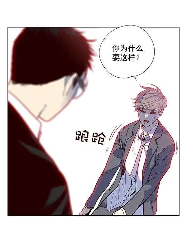 漫画《觉醒吧，铲屎官！》第12话第5张图