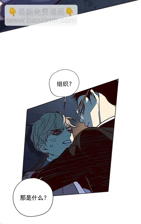 漫画《觉醒吧，铲屎官！》第12话第62张图