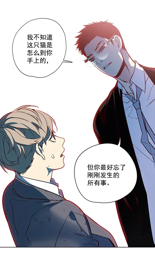 漫画《觉醒吧，铲屎官！》第12话第8张图