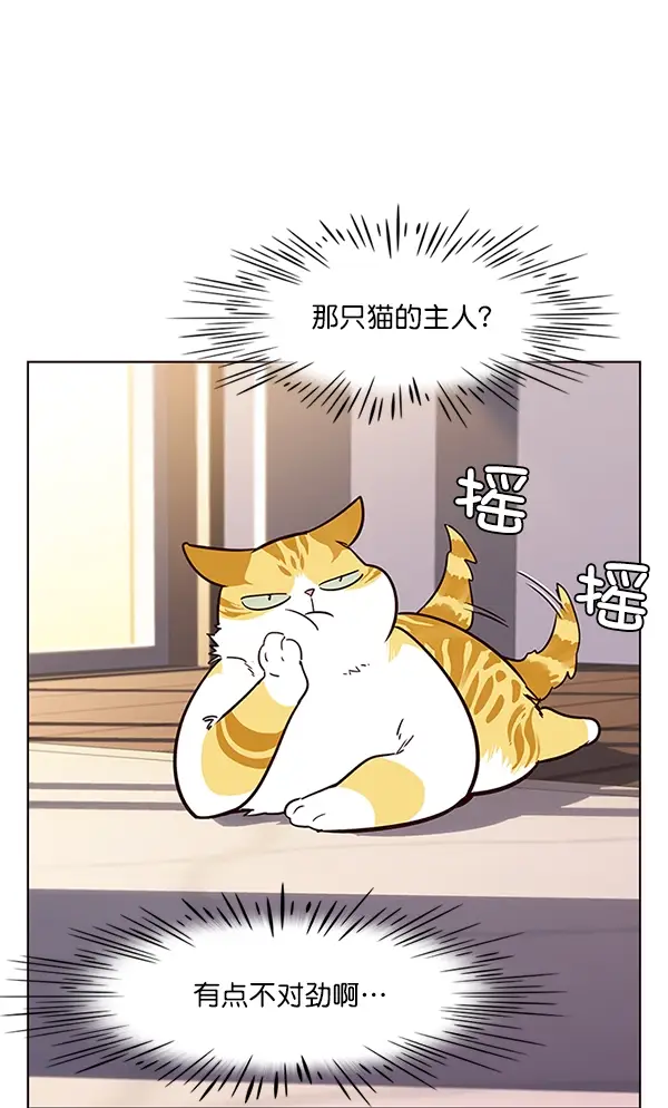 漫画《觉醒吧，铲屎官！》第12话第92张图