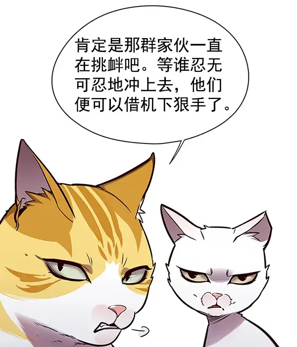 漫画《觉醒吧，铲屎官！》第148话第29张图