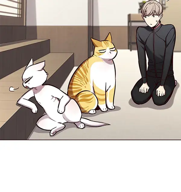 漫画《觉醒吧，铲屎官！》第156话第14张图