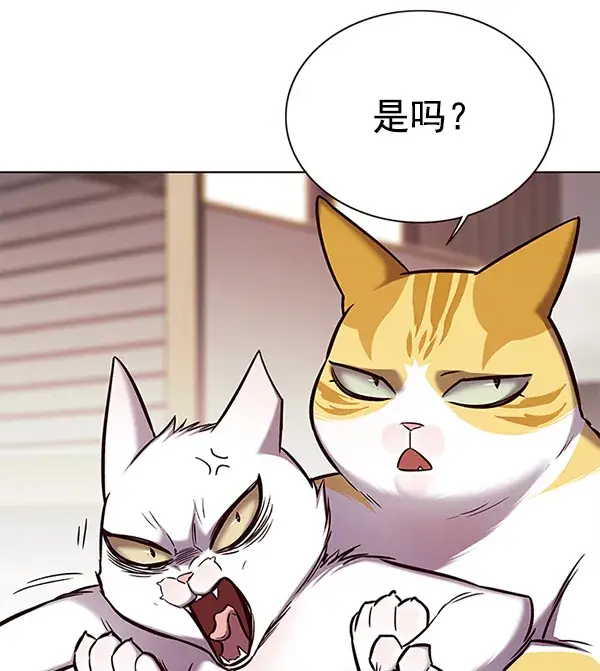 漫画《觉醒吧，铲屎官！》第156话第7张图
