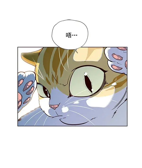 漫画《觉醒吧，铲屎官！》第13话第2张图