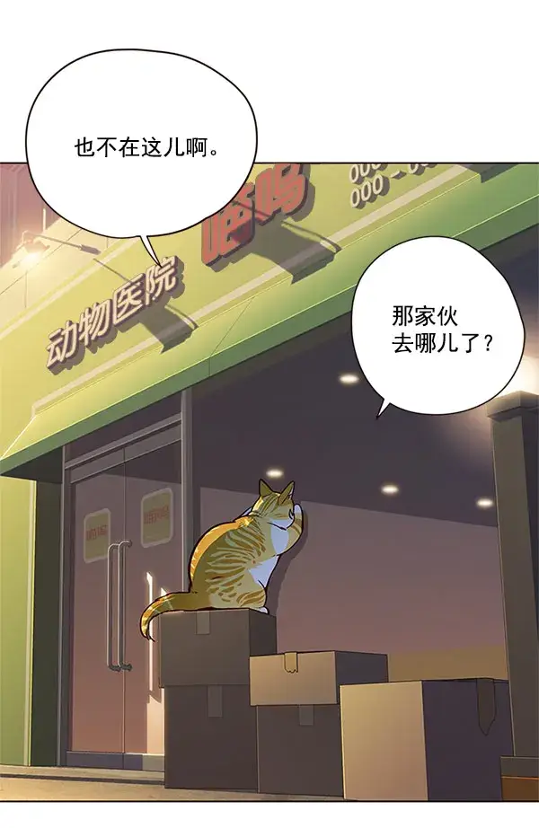 漫画《觉醒吧，铲屎官！》第13话第3张图