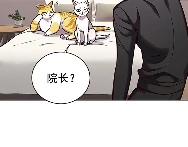 漫画《觉醒吧，铲屎官！》第157话第71张图