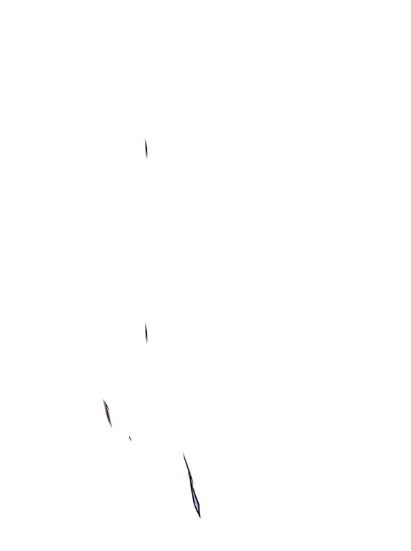 漫画《觉醒吧，铲屎官！》第158话第56张图