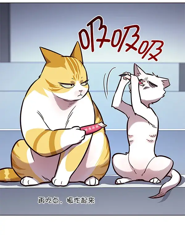 漫画《觉醒吧，铲屎官！》第159话第6张图