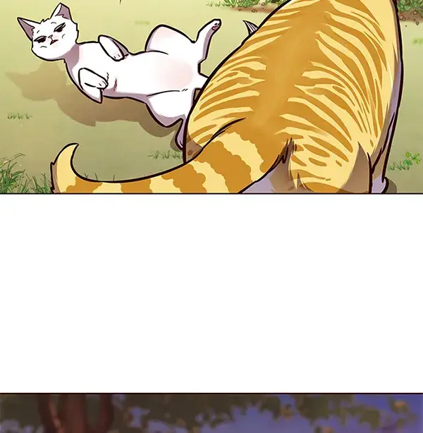 漫画《觉醒吧，铲屎官！》第161话第67张图